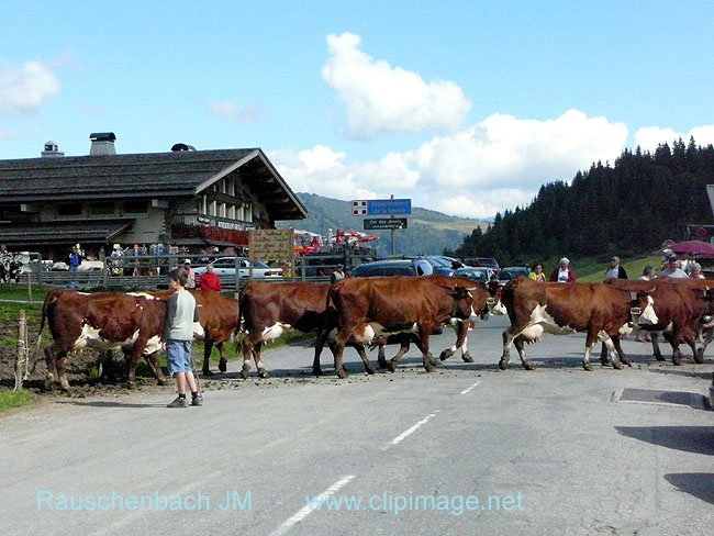 c008.col des aravis.jpg