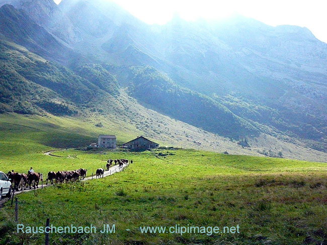 c010.col des aravis.jpg