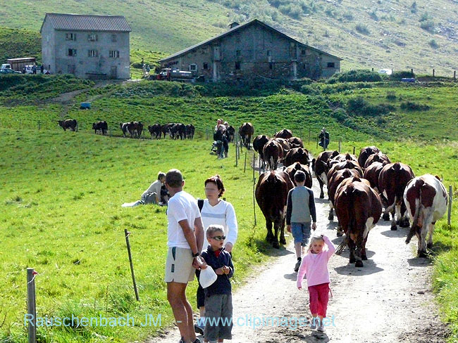 c013.col des aravis.jpg