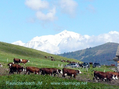 c007.col des aravis