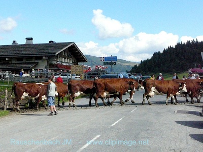 c008.col des aravis