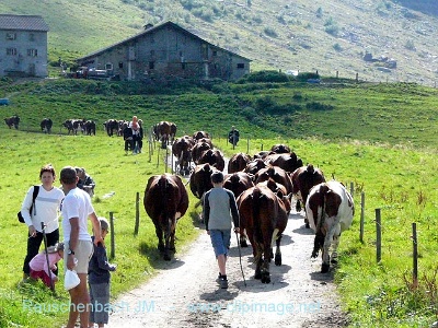 c012.col des aravis