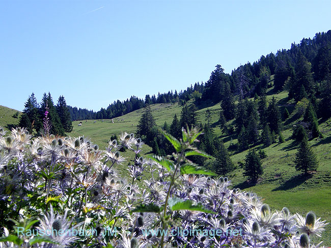 col de l anglette 1.jpg