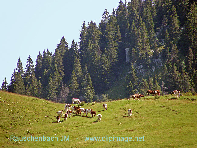 col de l anglette 5.jpg