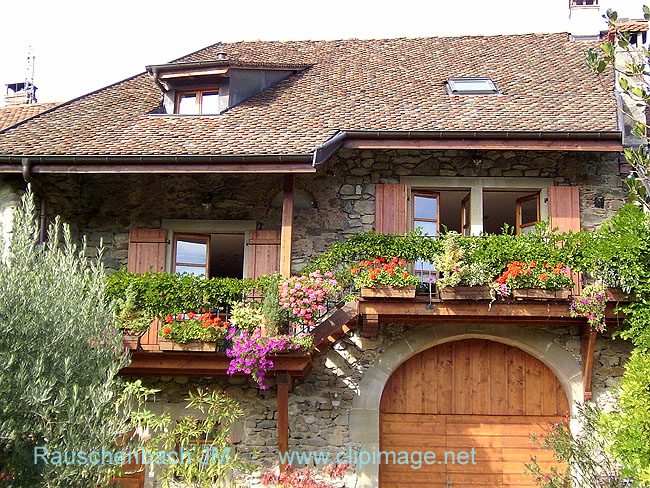 maison en suisse.193.jpg