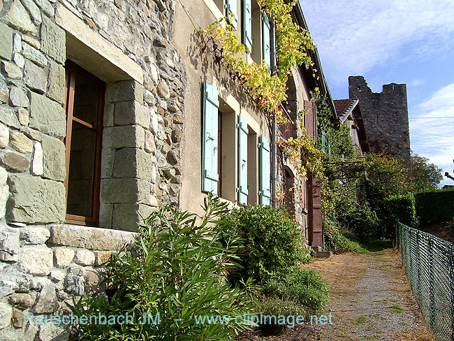 suisse.bord du lac de geneve.188.jpg