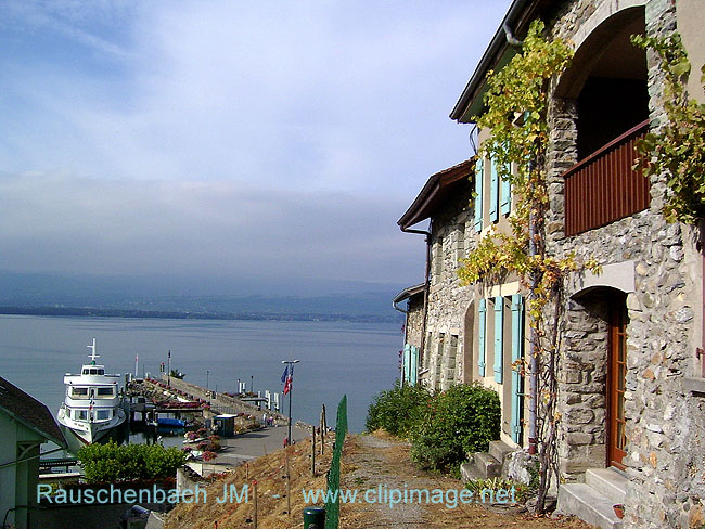 suisse.lac geneve.190.jpg