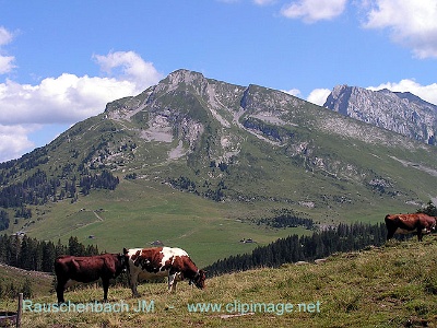 plateau du beauregard.246